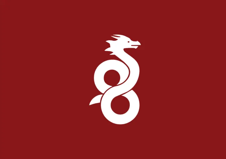 Why WireGuard is The Future of VPN Protocols