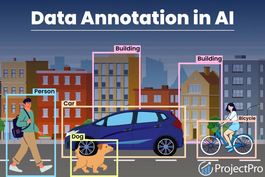 Data Annotation at Scale for Better AI Models