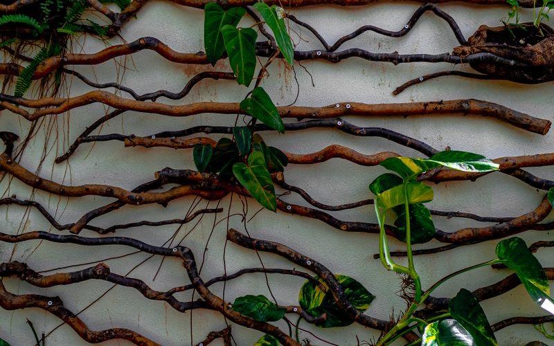 How To Pick Artificial Green Wall Panels That Look Real
