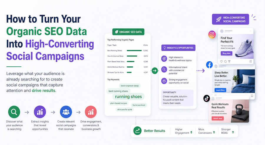 How to Turn Your Organic SEO Data Into High-Converting Social Campaigns