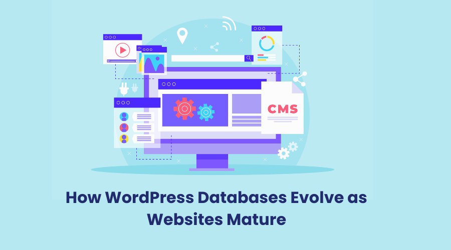How WordPress Databases Evolve as Websites Mature