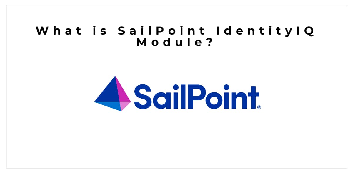 What is SailPoint IdentityIQ Module?