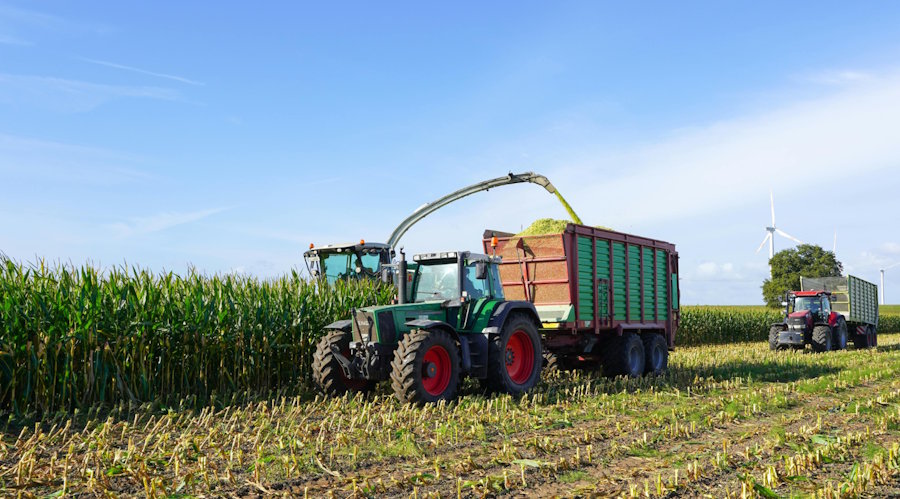 What It Actually Takes to Get Established in Lubbock County Farming