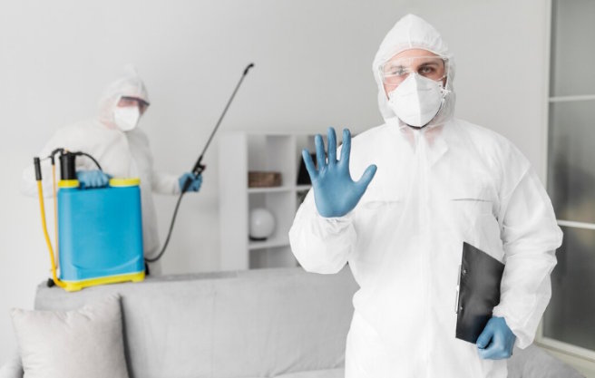 What Role Do Commercial Pest Exterminators Play In Business Success?