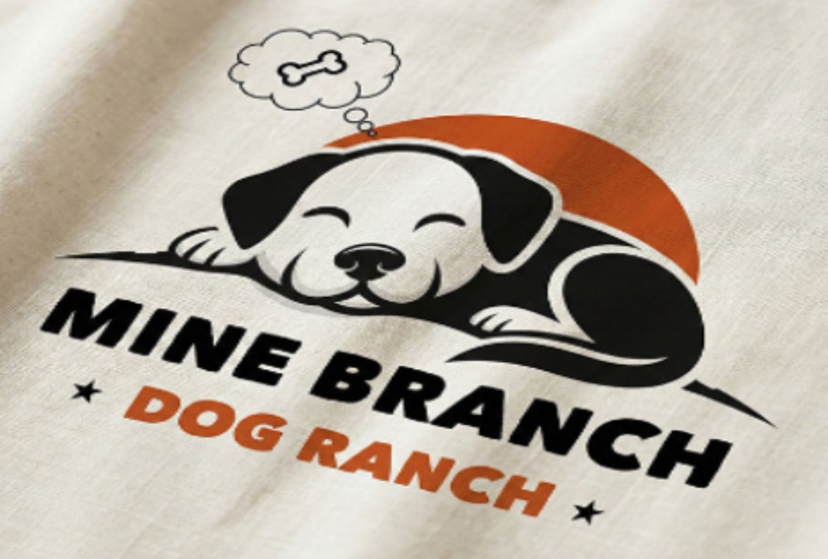 Why Websites in Bloomington Don’t Convert