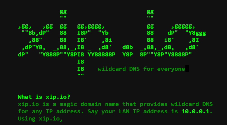 XIP.IO: a magic domain name that provides wildcard DNS for any IP address