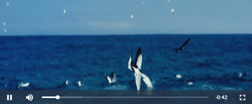 Videojs plugin media demo