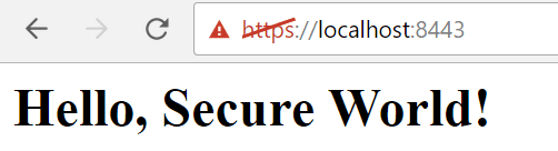 Secure World Message Https Express