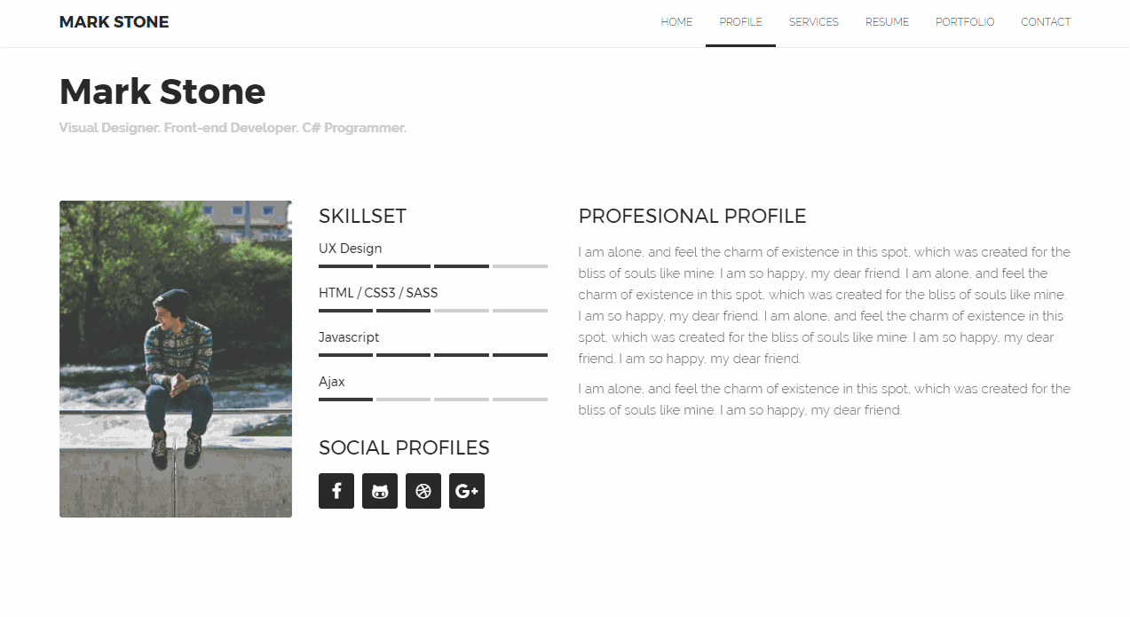 MStone Premium Curriculum/Portfolio template