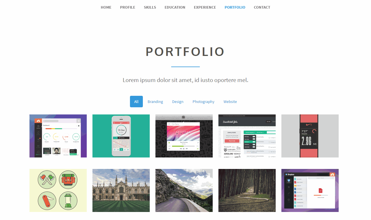 Articulate premium/portfolio