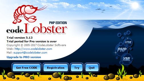Codelobster Activation Window