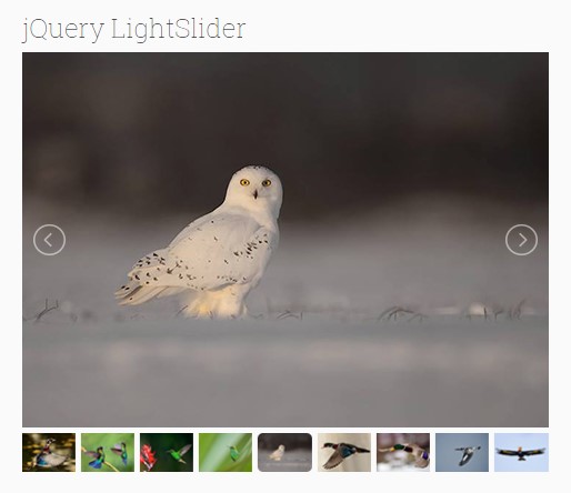 jQuery Light Slider