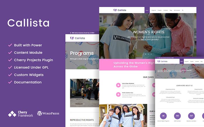 Callista - Charity & Fundraising WordPress Theme
