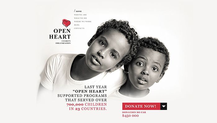 World of Charity WordPress Theme