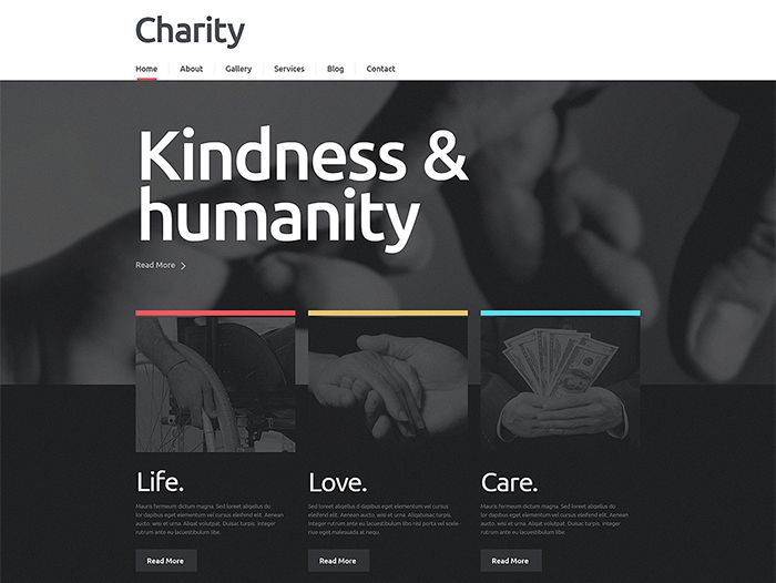 NGO Responsive WordPress Theme