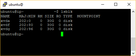 List disks on Ubuntu