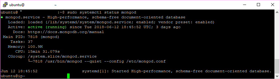mongodb service start ubuntu mongodb service start ubuntu