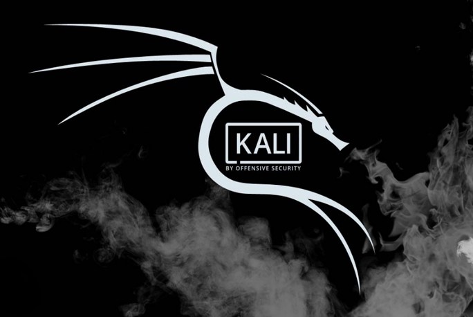 Kali Linux Pentesting Hacking OS