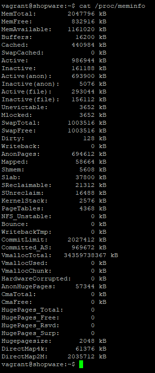 Linux /proc/meminfo output example