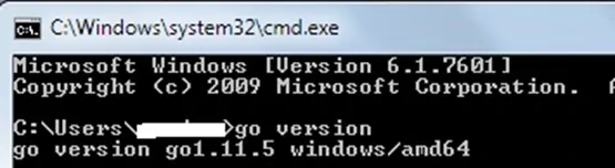 Go Lang Version