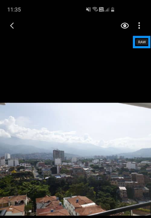 Samsung S10 RAW Photo