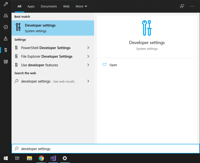 Windows 10 Developer Settings Search