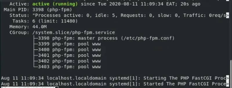 PHP FPM Status