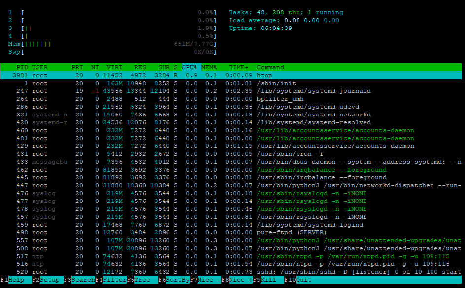 Contabo Htop Resources