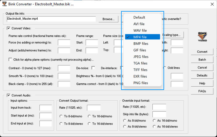 Define Output Type Bink Converter