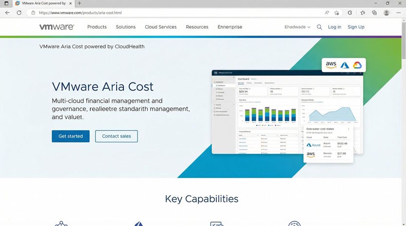 VMWare Aria Cost