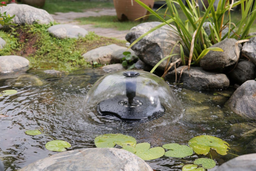 Innovation importance