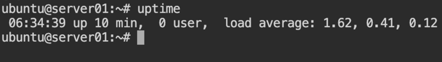 Check load and uptime