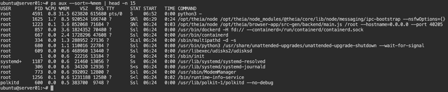Sort by memory usage