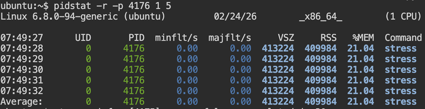 Track Memory Growth