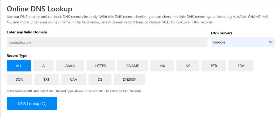 Online DNS Lookup