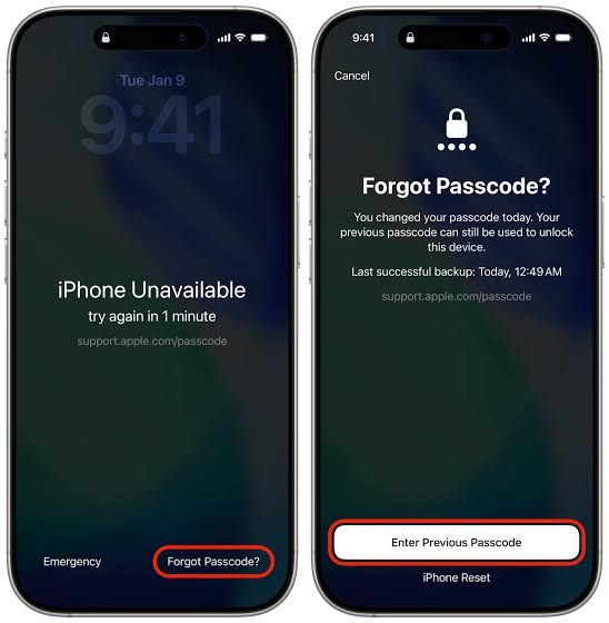 Reset iPhone Duo passcode using the previous passcode