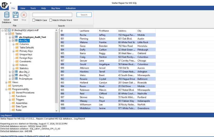 Preview Repaired Files